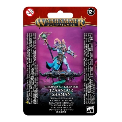 Disciples of Tzeentch: Tzaangor Shaman