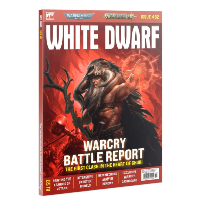 White Dwarf 482