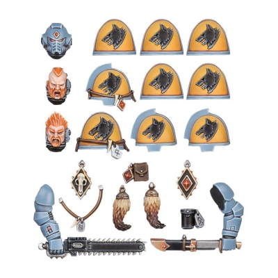 Space Wolves: Primaris Upgrades